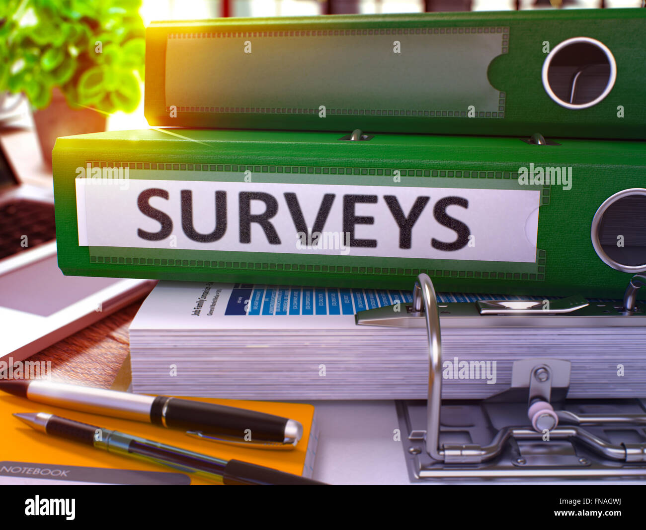 Surveys on Green Office Folder. Toned Image. Stock Photo