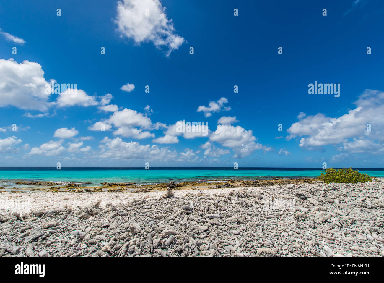 Beaches of Bonaire with the best snorkling and diving locations Stock