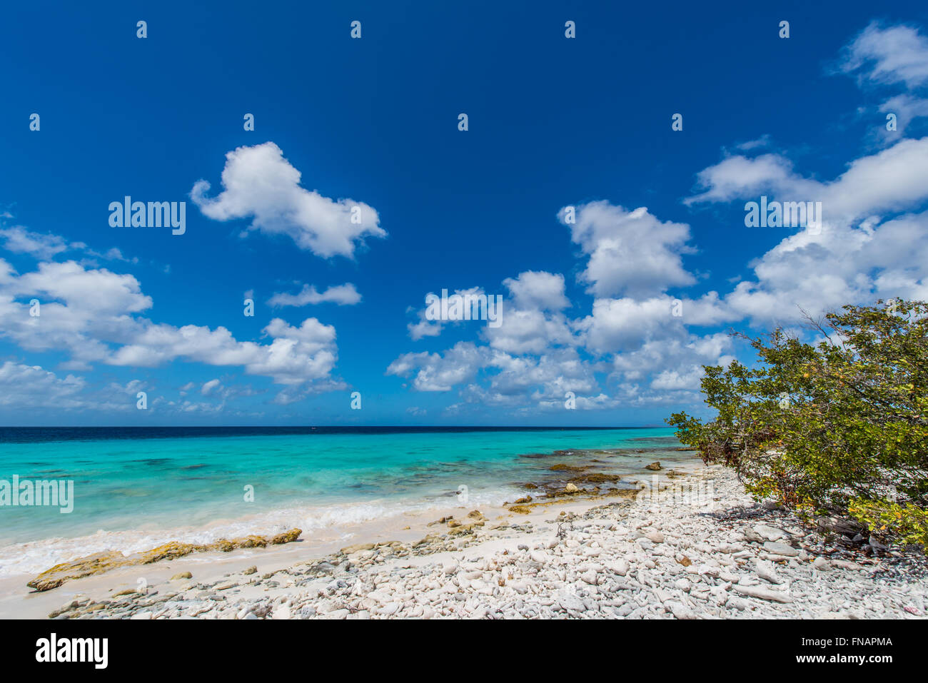 Beaches of Bonaire with the best snorkling and diving locations Stock