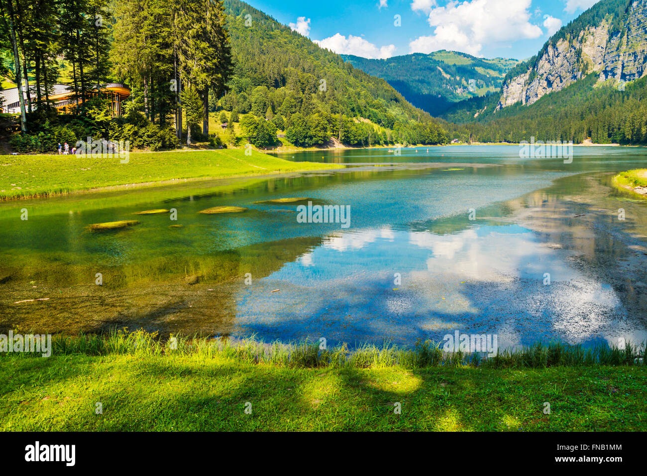 Lake of Montriond, natural lake in Haute Savoie region,French Alps ,an