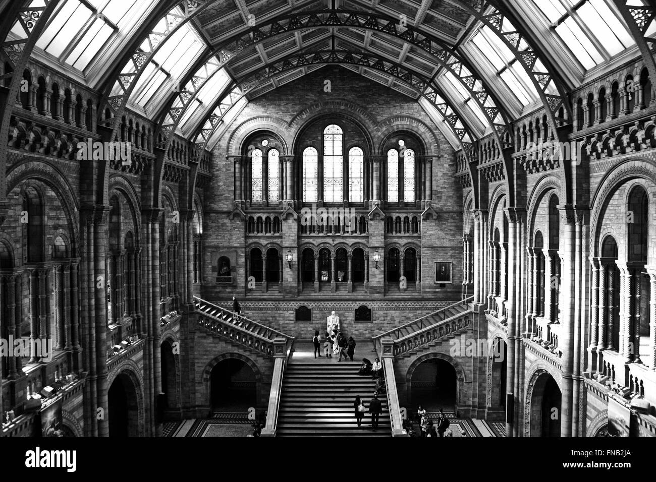 National History Museum in London Stock Photo Alamy