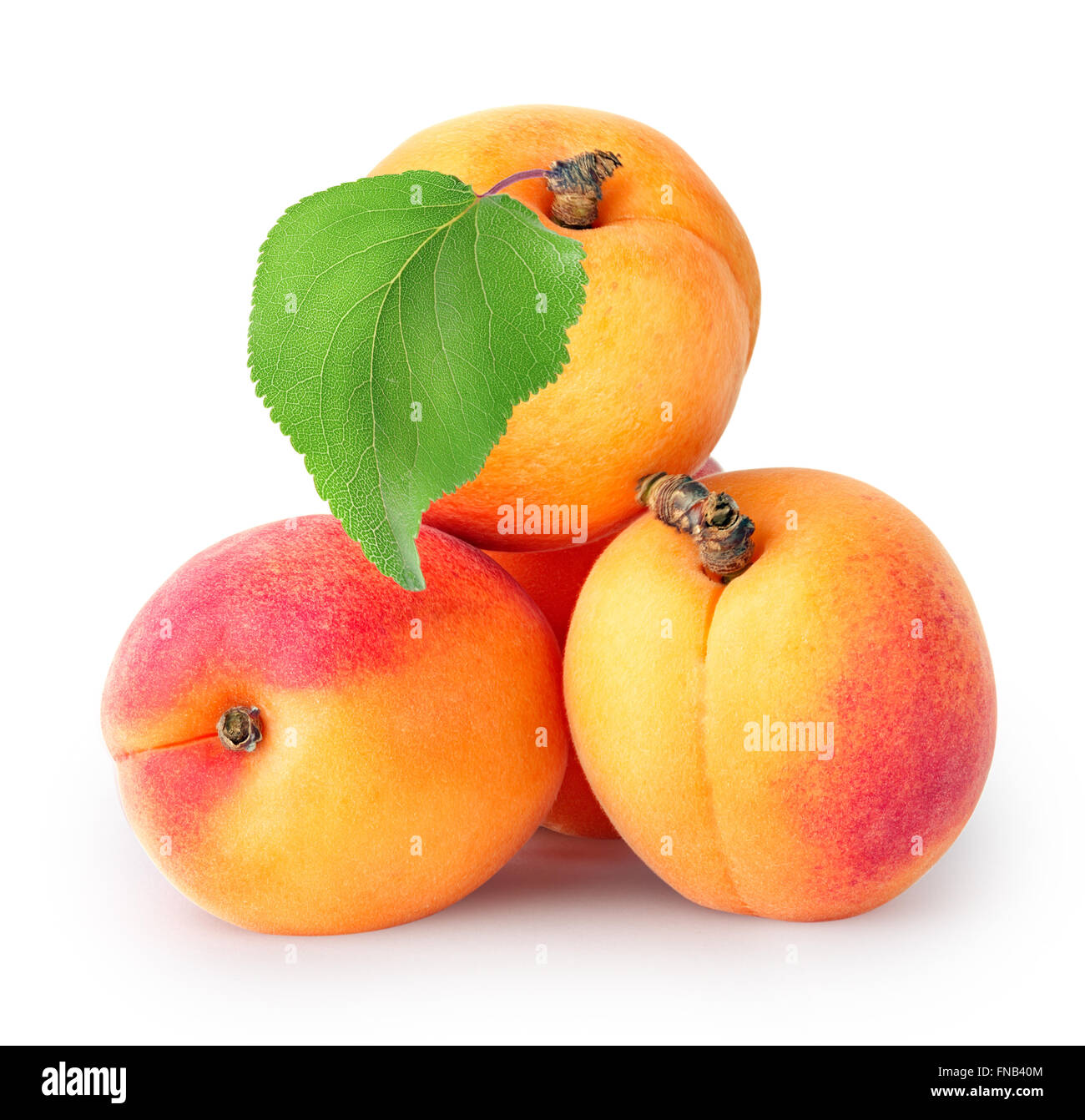 Yellow ripe apricots with leaf isolated on white background Stock Photo ...