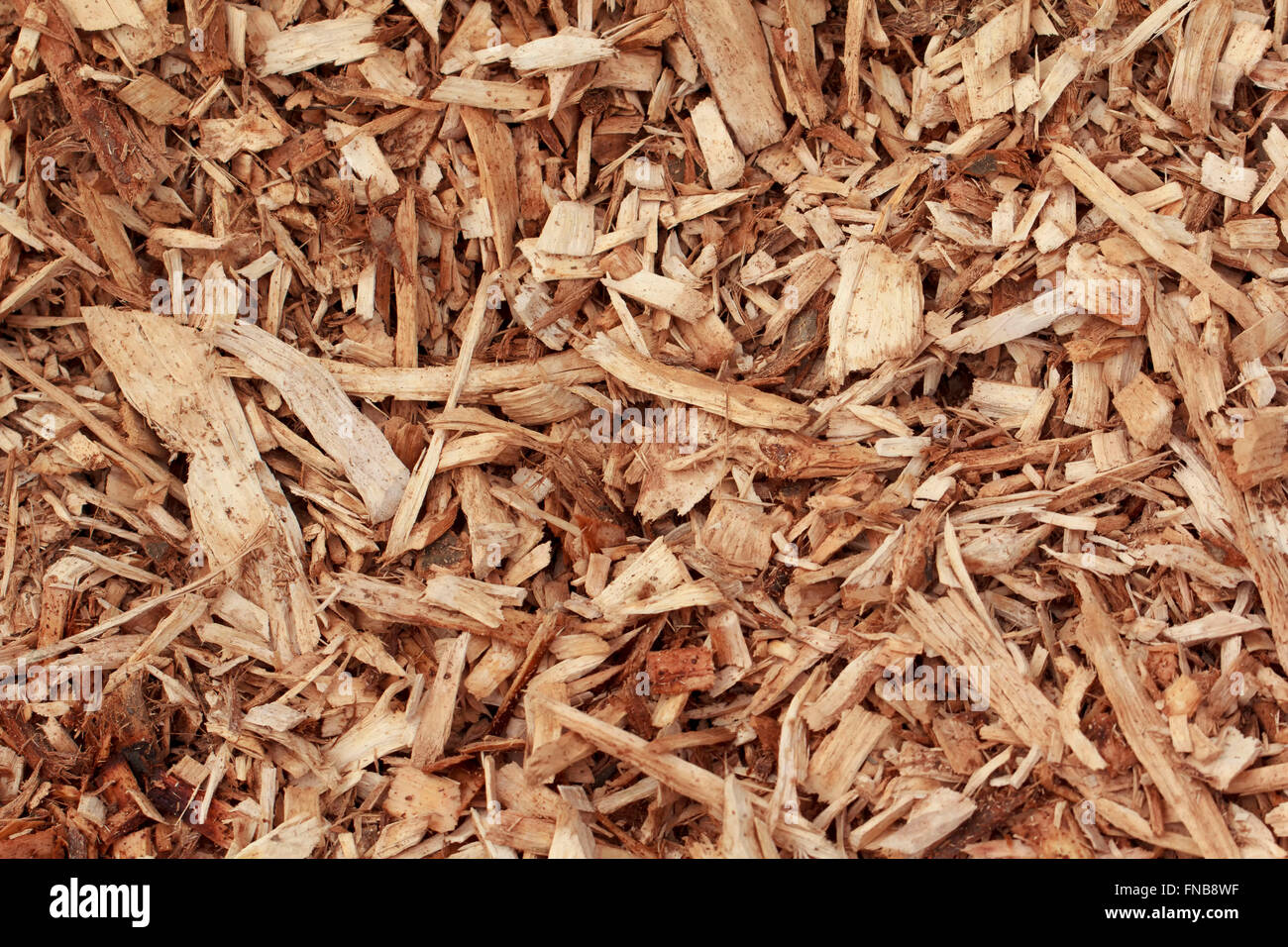 Wood chips background Stock Photo