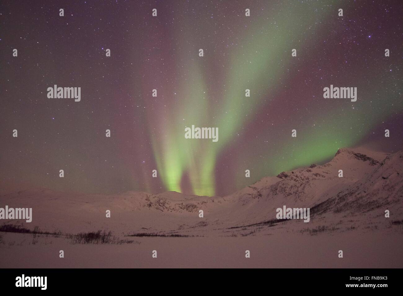 Northern lights, Aurora Borealis, Tromso, Norway Stock Photo - Alamy