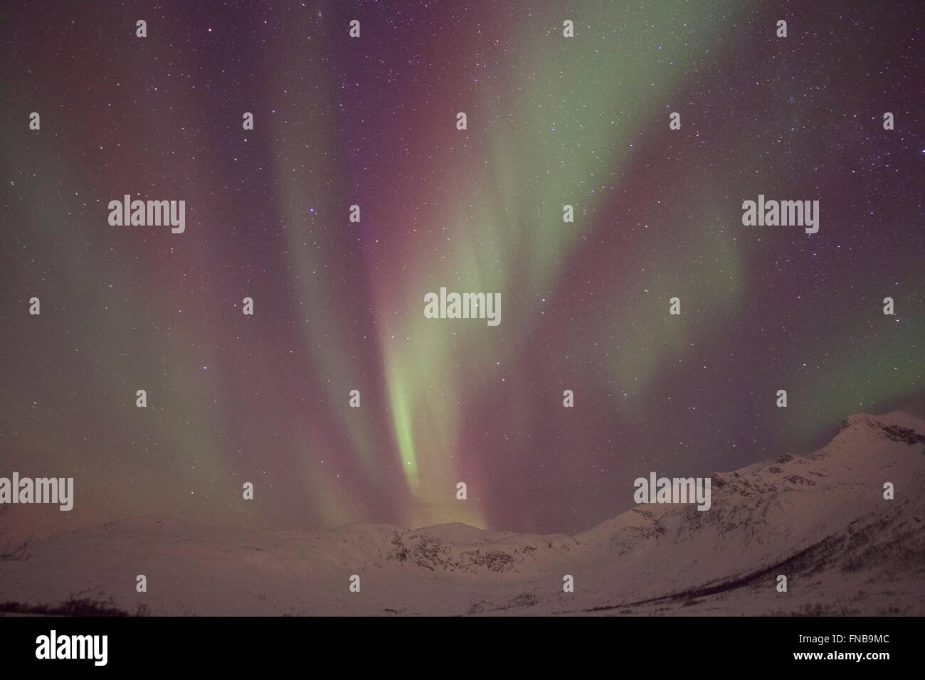 Northern lights, Aurora Borealis, Tromso, Norway Stock Photo Alamy
