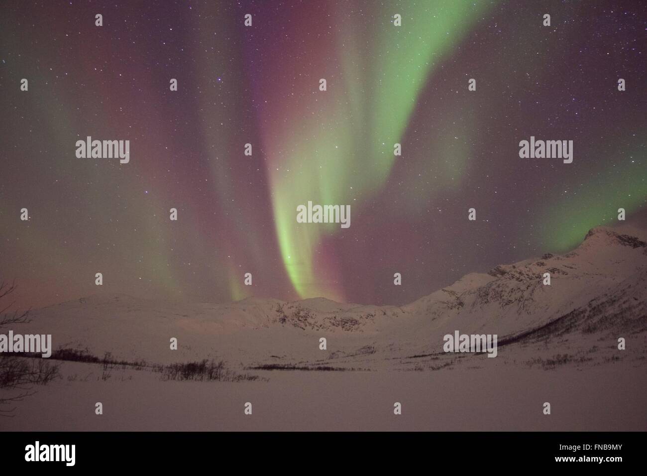 Northern lights, Aurora Borealis, Tromso, Norway Stock Photo - Alamy
