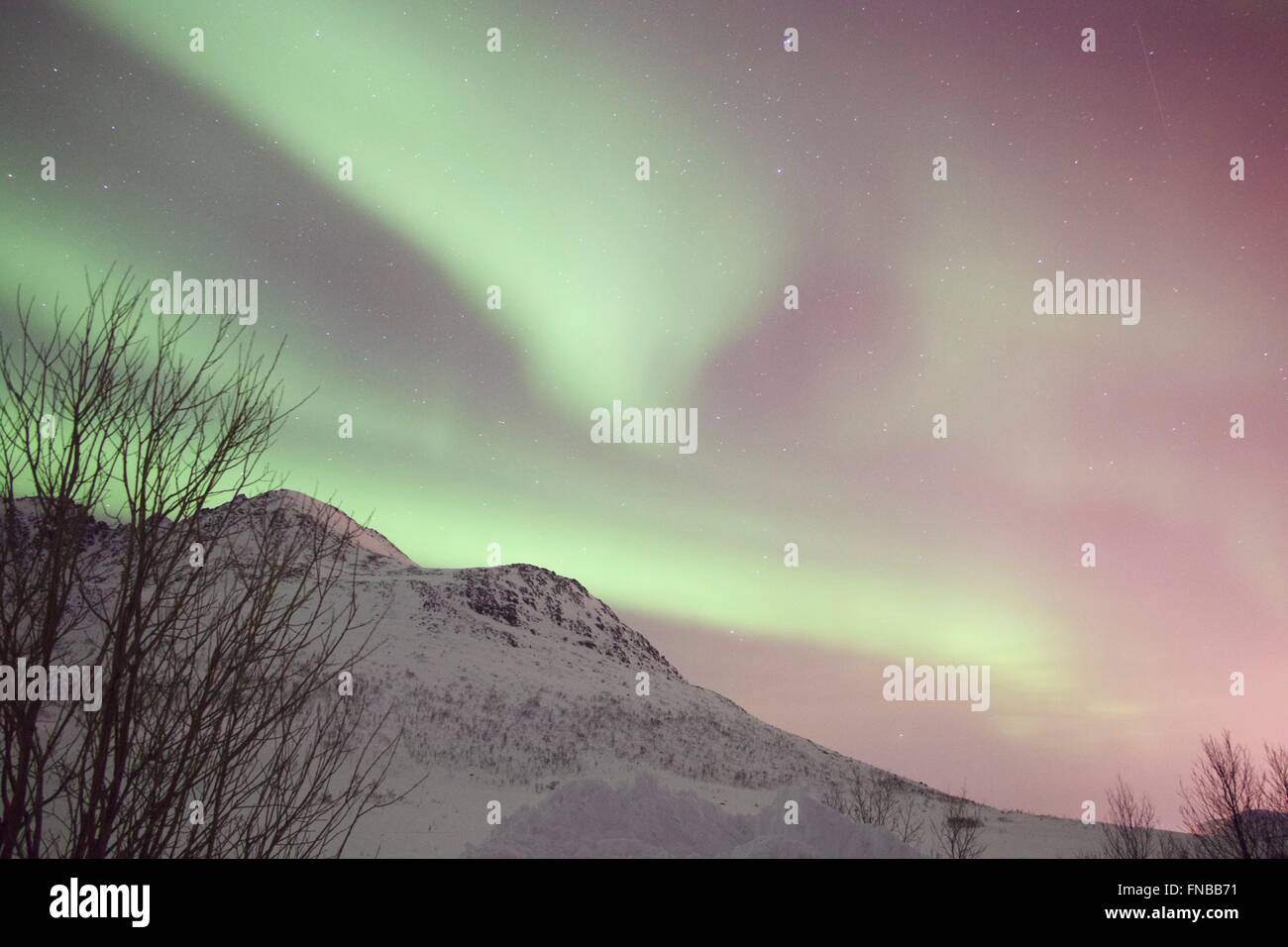 Northern lights, Aurora Borealis, Tromso, Norway Stock Photo - Alamy