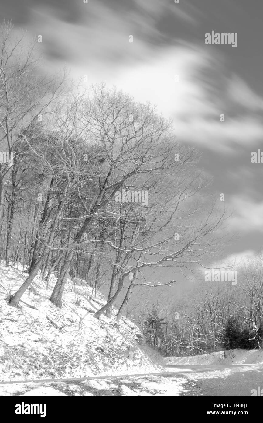 Cold winter forest landscape Black and White Stock Photos & Images - Alamy