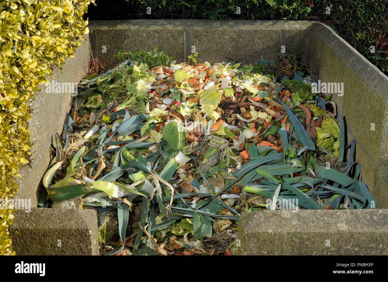 Garden compost heap with kitchen food waste, vegetables, fruit peel and green refuse. Stock Photo