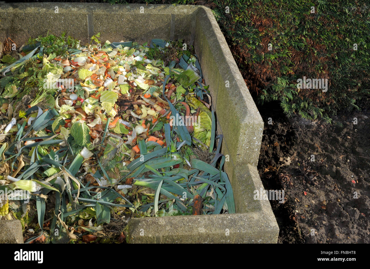 Garden compost heap with kitchen food waste, vegetables, fruit peel and green refuse. Stock Photo