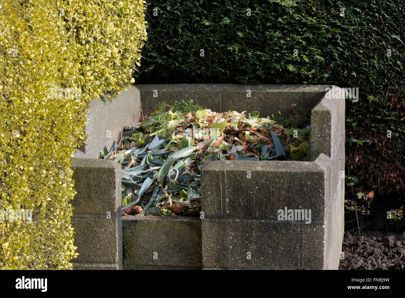 Garden compost heap with kitchen food waste, vegetables, fruit peel and green refuse. Stock Photo