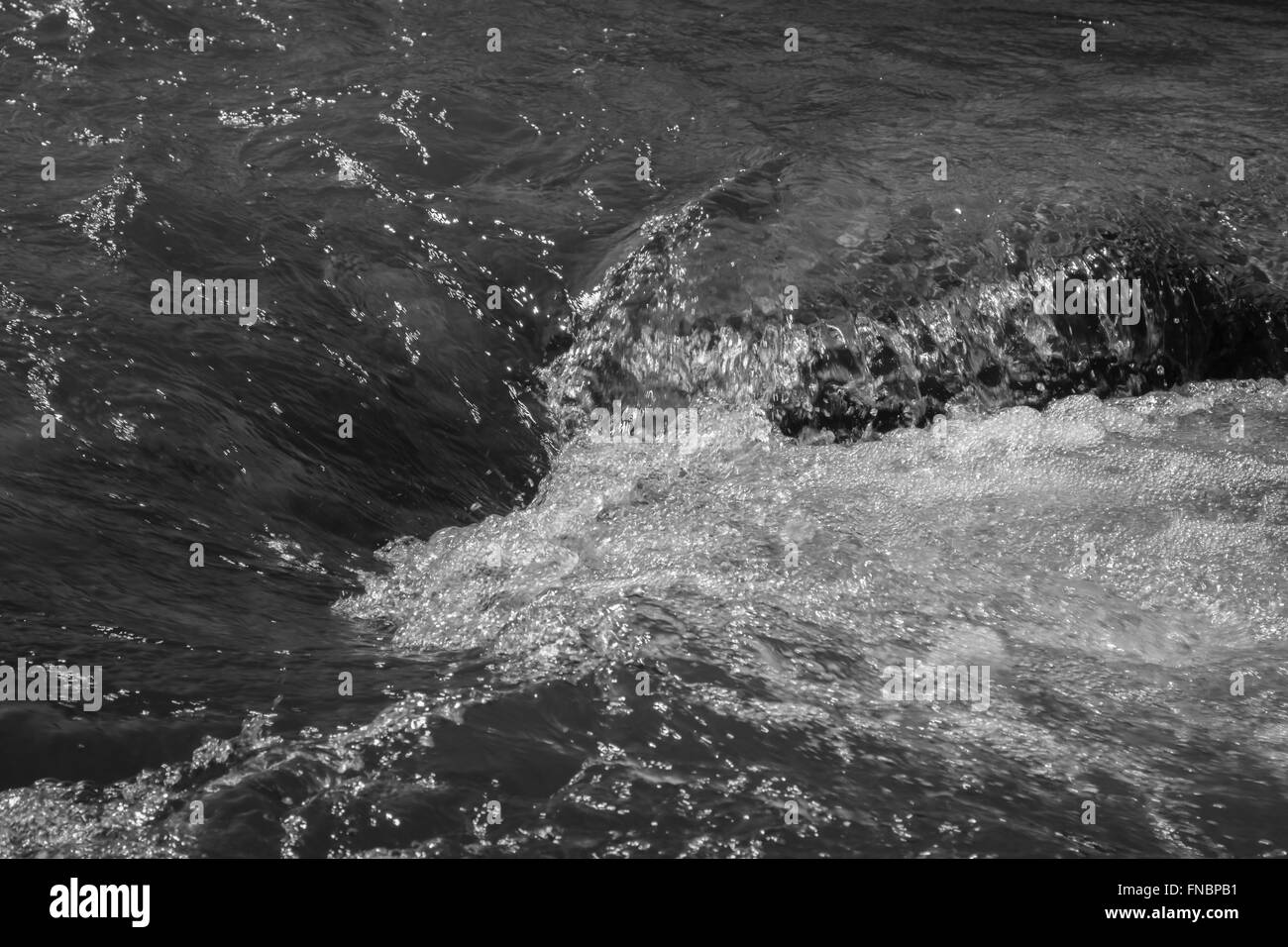 riverside views of the Chattahoochee Stock Photo Alamy