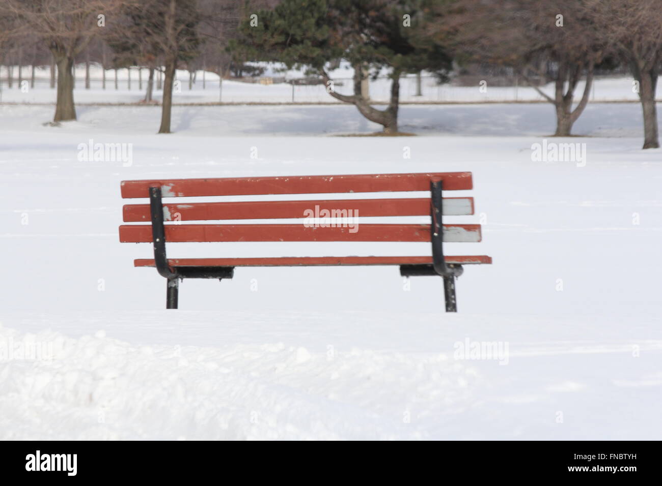 Vacant park bench in a snow filled park during the winter season Stock ...