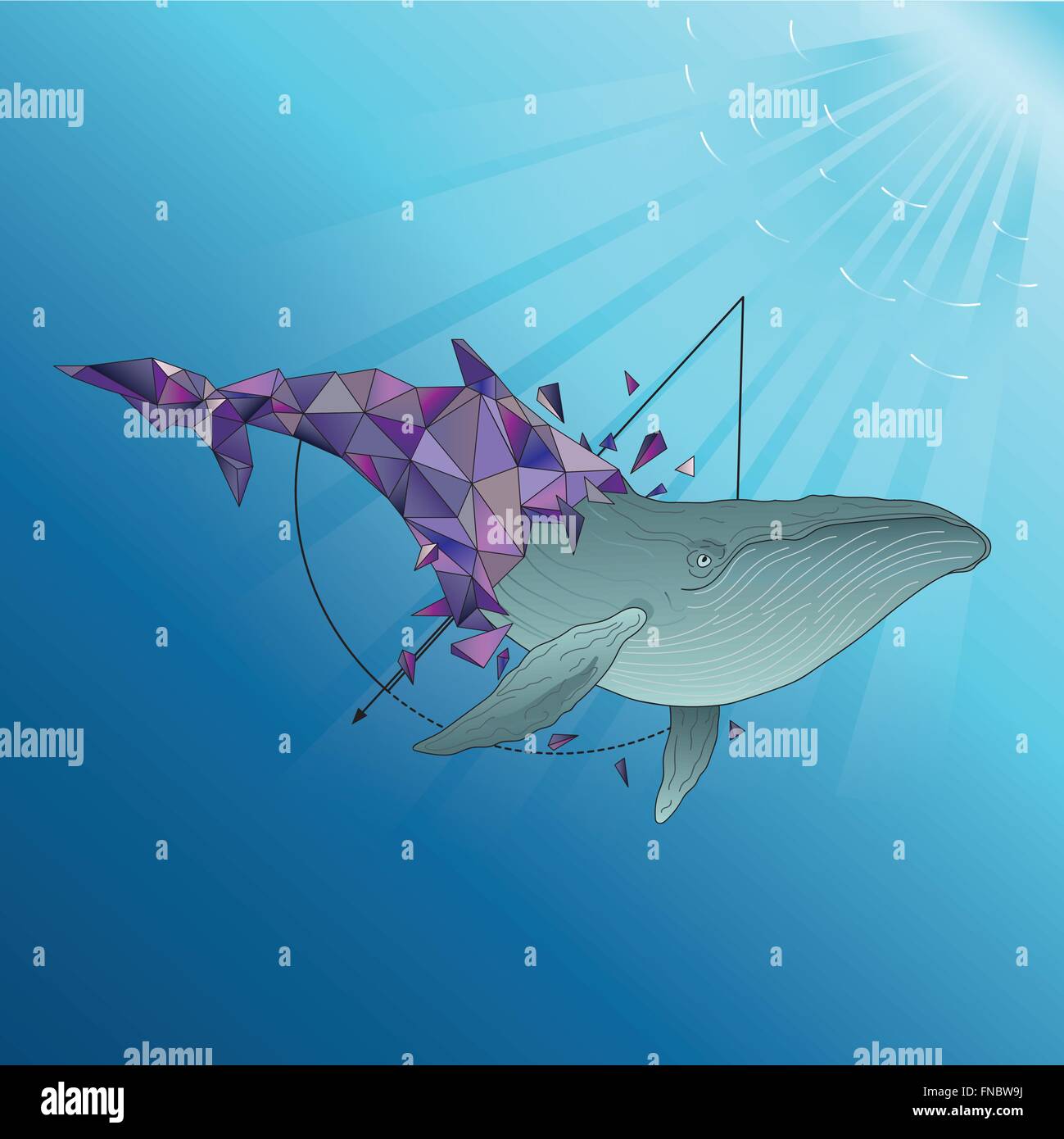 Humpback whale wallpaper hi-res stock photography and images - Alamy