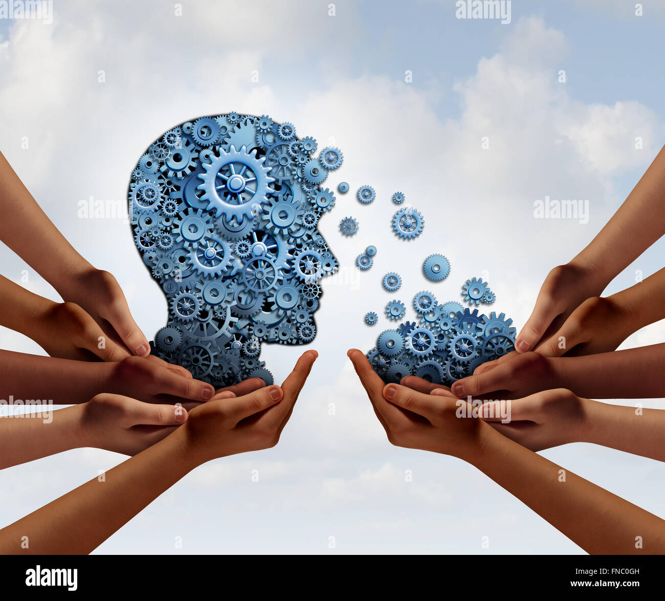 Group training and skill development business education concept with many diverse hands holding a bunch of gears transferring the wheels to a human head made of cogs as a symbol of acquiring the tools for team learning. Stock Photo