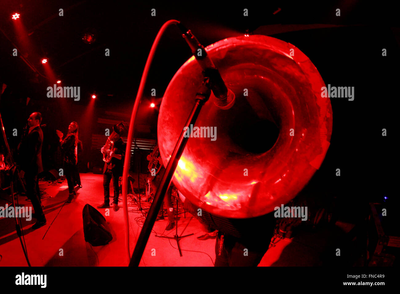 Sousaphone front side closeup and Vera Miloshevska singing (background