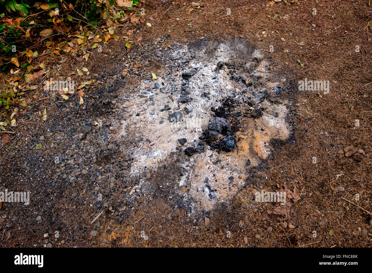 Burned to ashes hi-res stock photography and images - Alamy
