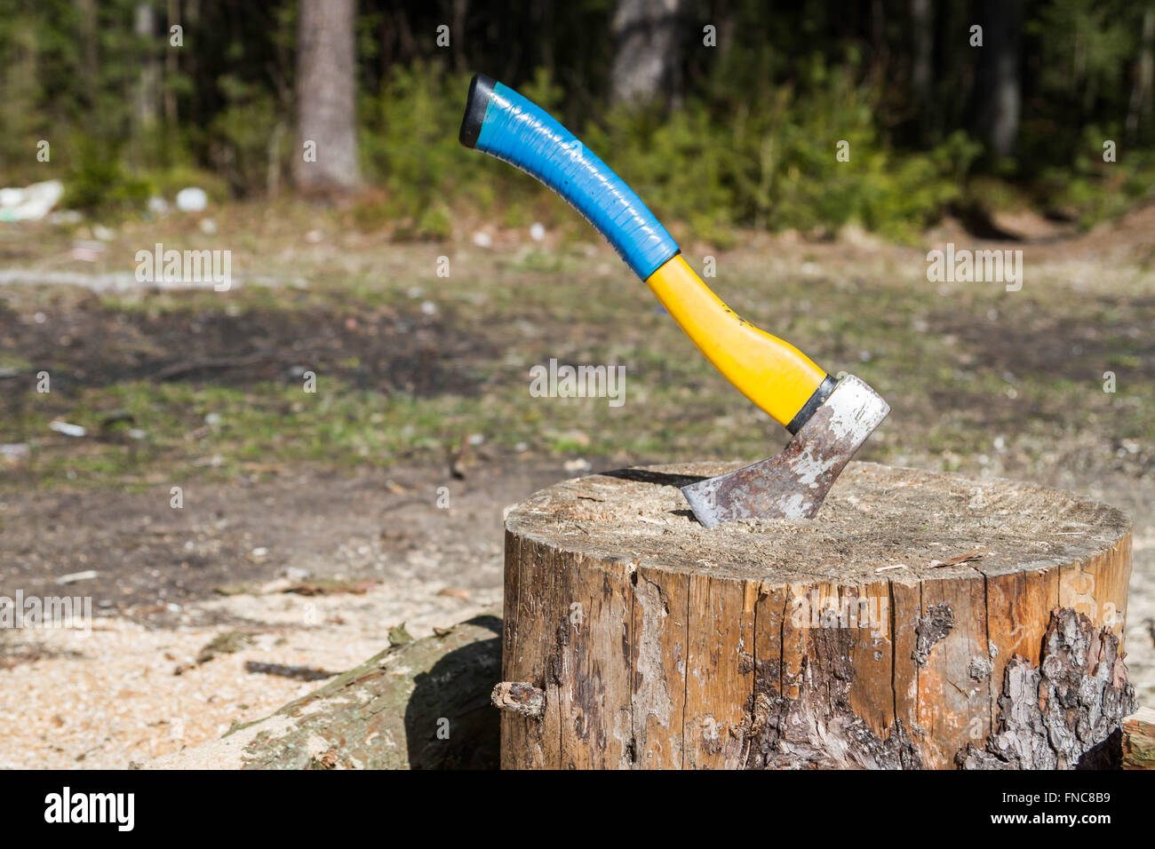 The axe in a log in the woods Stock Photo