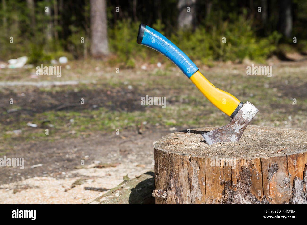 The axe in a log in the woods Stock Photo