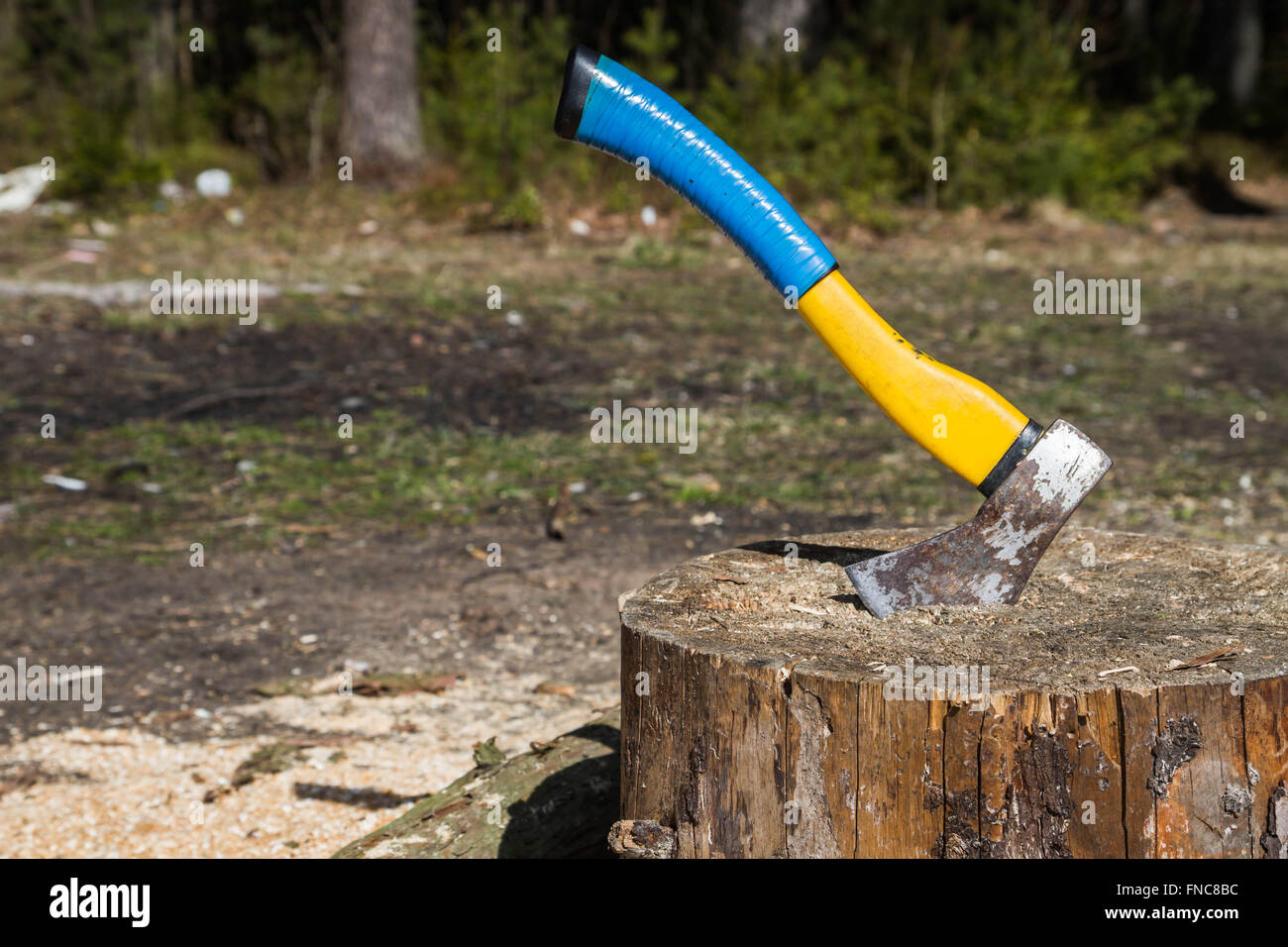 The axe in a log in the woods Stock Photo