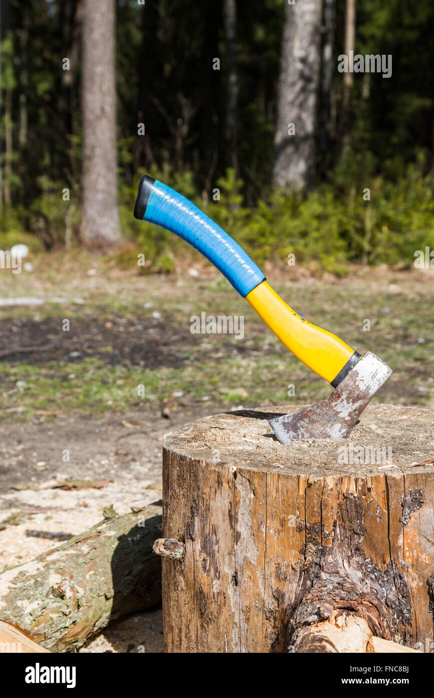 The axe in a log in the woods Stock Photo