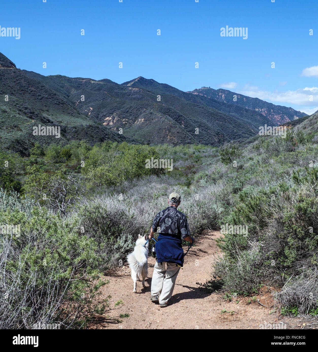 Hiker and dog walk down  the ocean view trail at Zuma Canyon Stock Photo