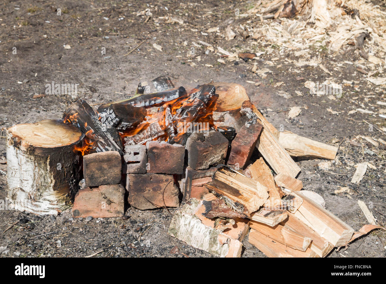 A fire in the forest Stock Photo - Alamy