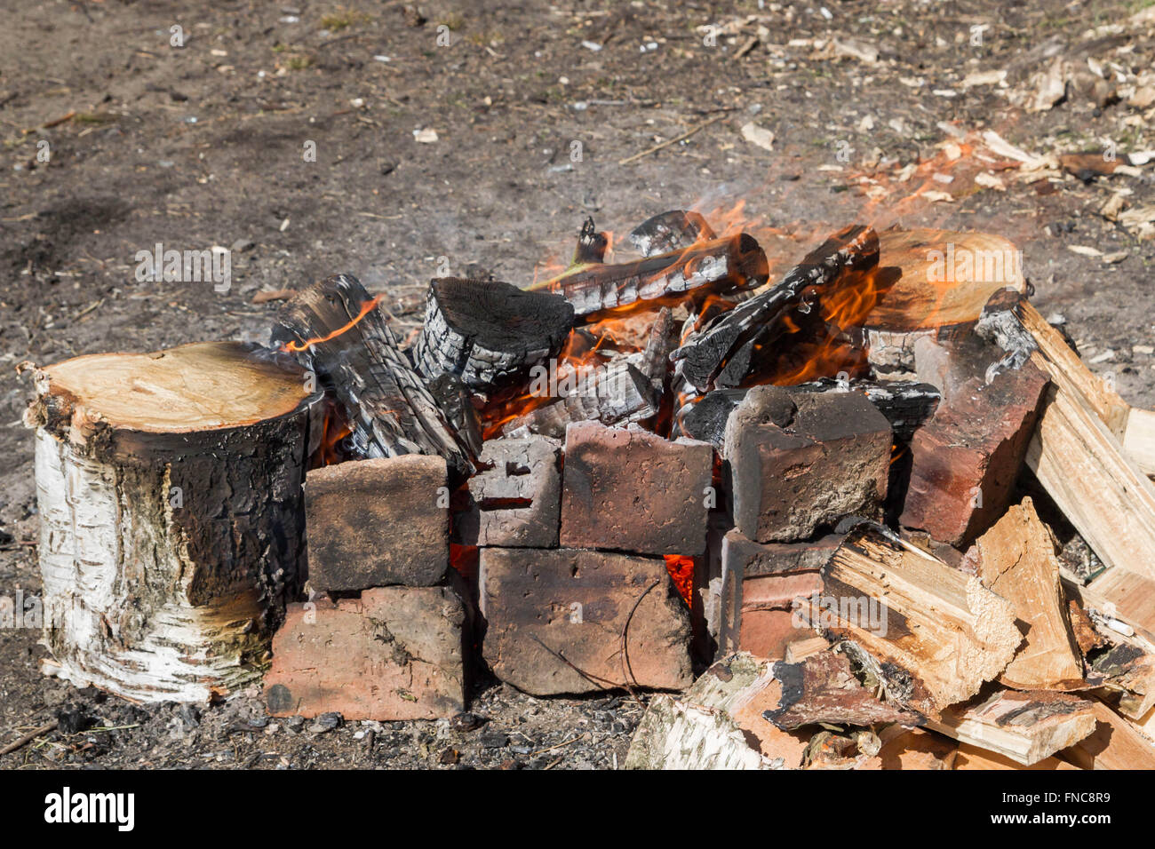 A fire in the forest Stock Photo Alamy
