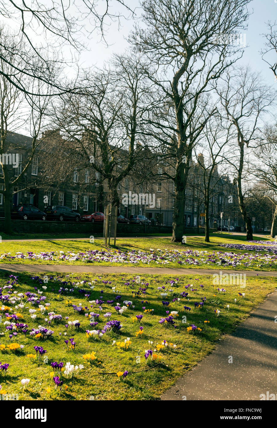 Melville drive edinburgh hires stock photography and images Alamy