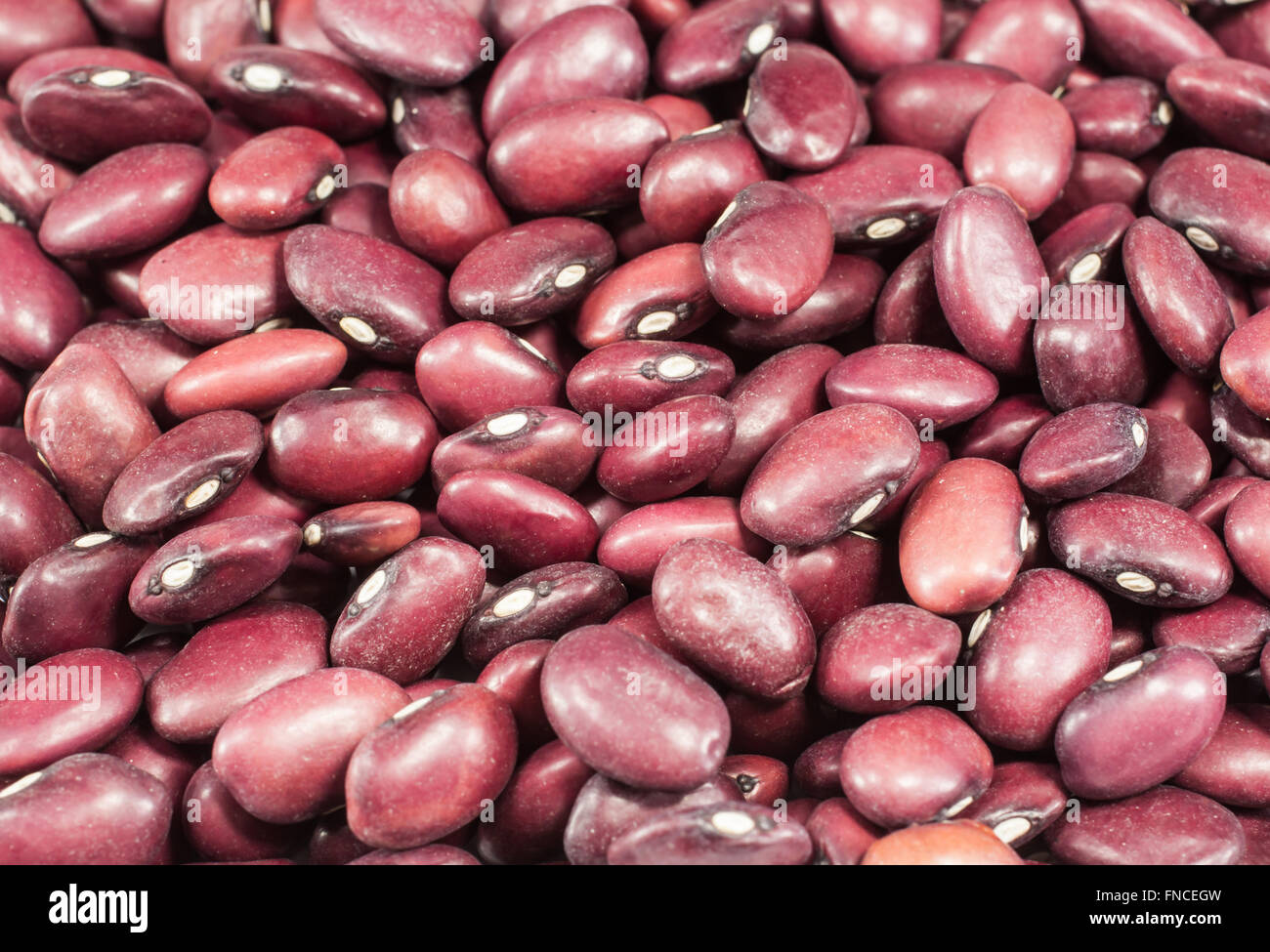 dried beans on burlap Stock Photo Alamy