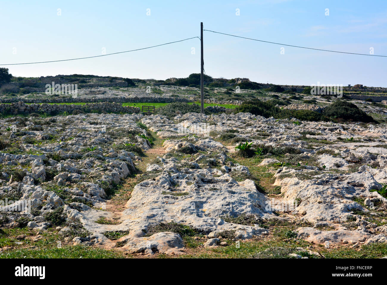 Cart ruts in Malta Stock Photo Alamy