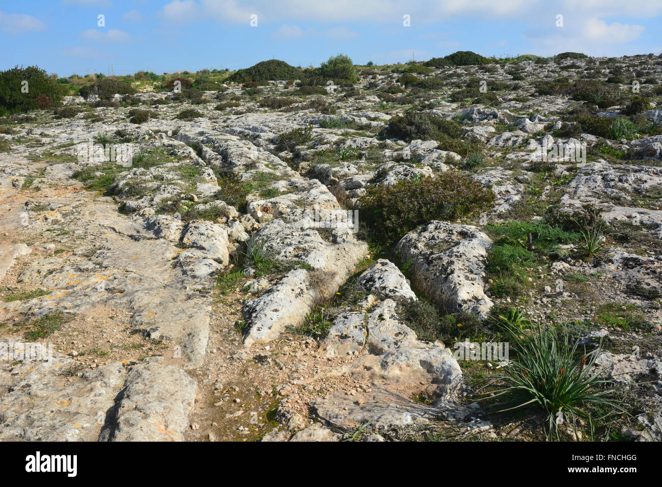 Cart Rutz Cart ruts in Malta Stock Photo - Alamy