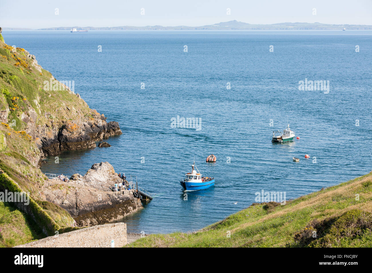 Ferry boat that takes tourists,bird watchers,to see puffins, from ...
