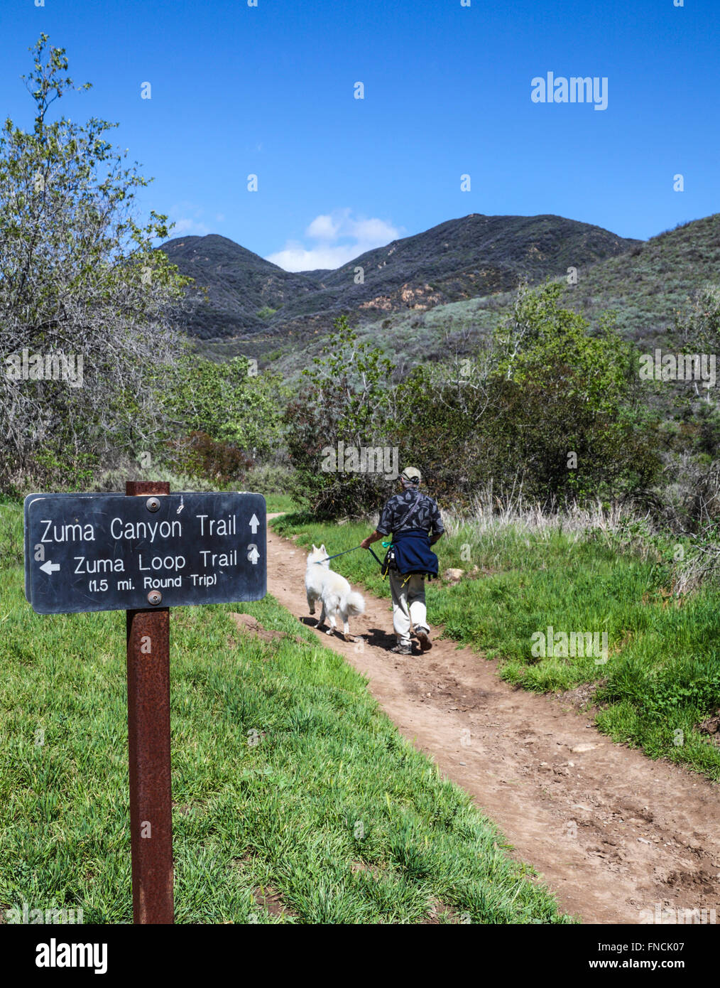 Hiker and dog on the Zuma Canyon Trail in Malibu Stock Photo