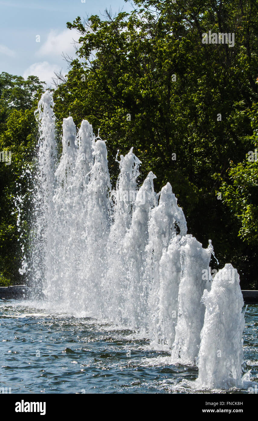 line of water spouts in a pond Stock Photo Alamy