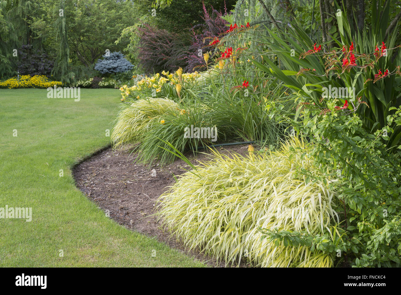 A lush green lawn curves gently around a variety of trees and perennial flowers, such as daylilies and bright red crocosmia with Stock Photo