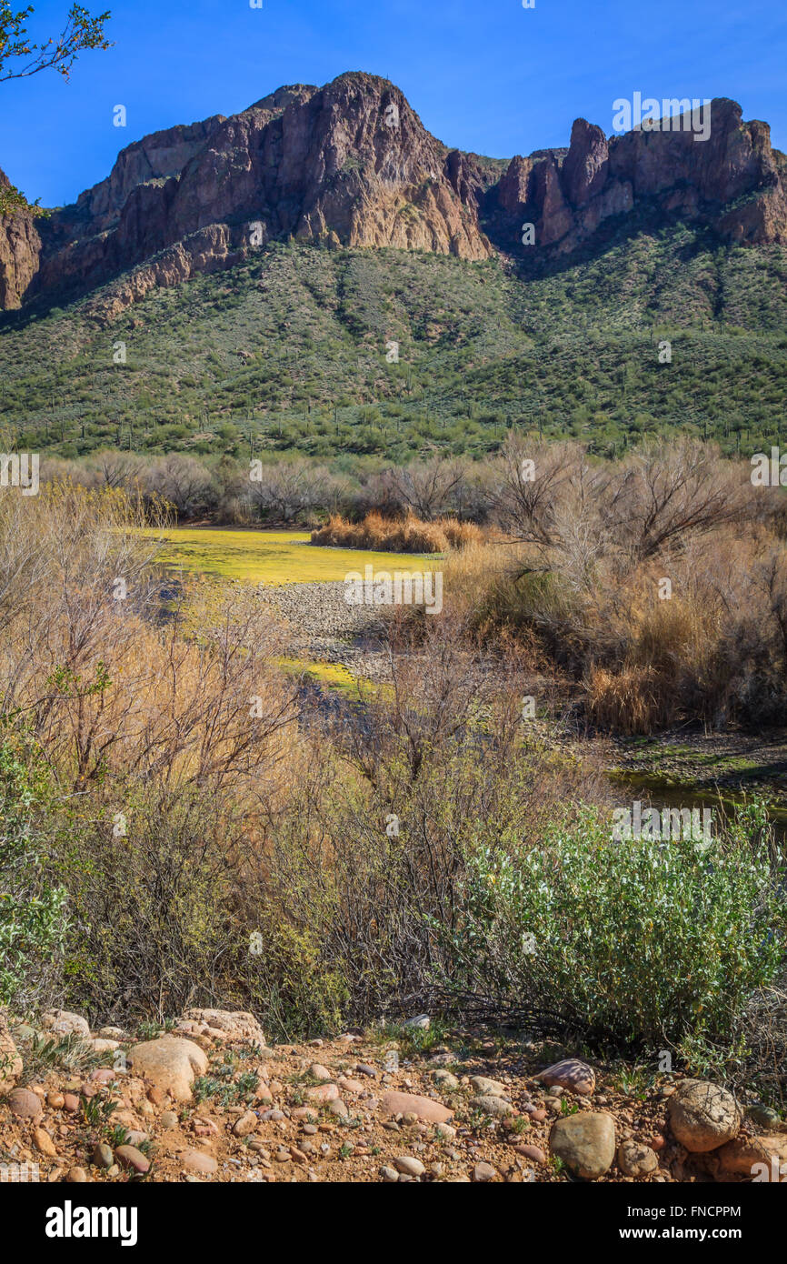 Sonoran desert sunset panorama hi-res stock photography and images - Alamy