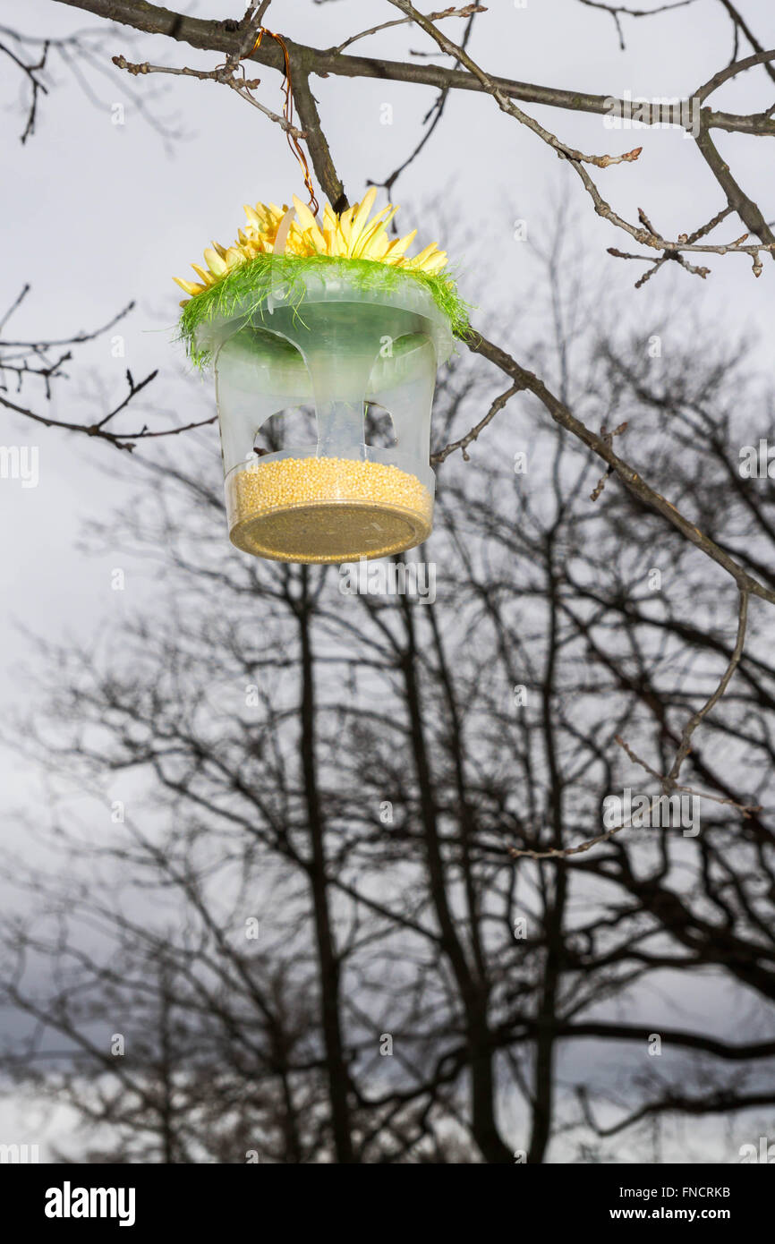 Bird feeder with grain Stock Photo