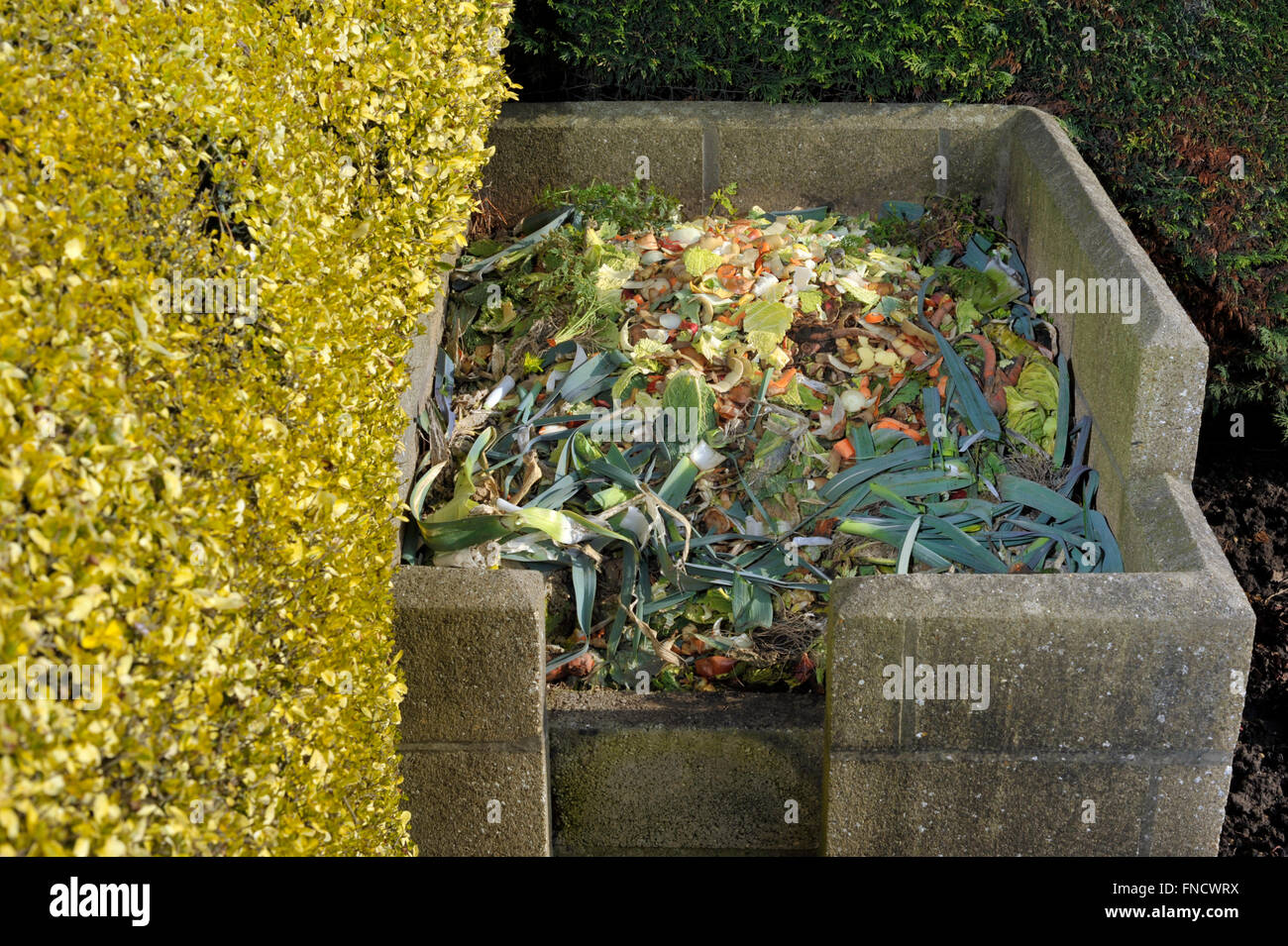 Garden compost heap with kitchen food waste, vegetables, fruit peel and green refuse. Stock Photo