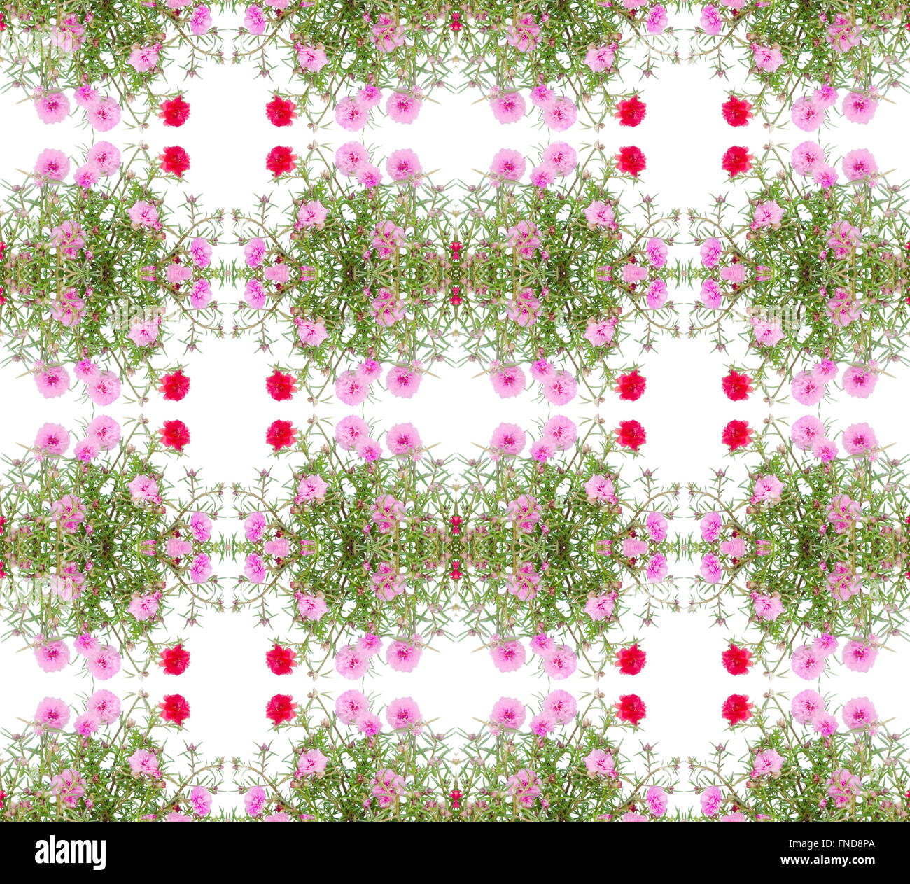 Portulaca flower seamless pattern background Stock Photo