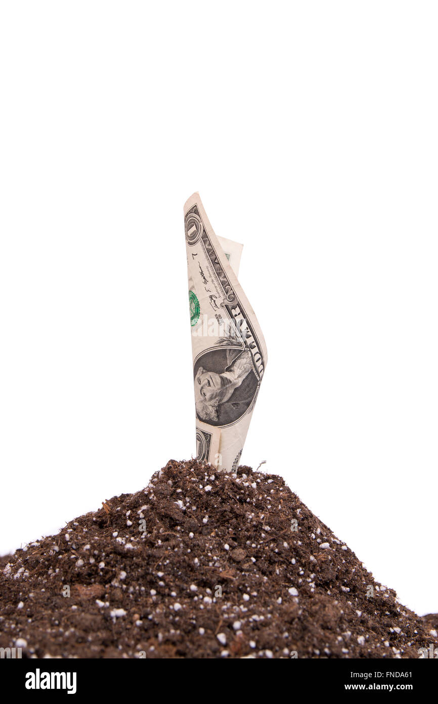 dollar and soil isolated Stock Photo Alamy