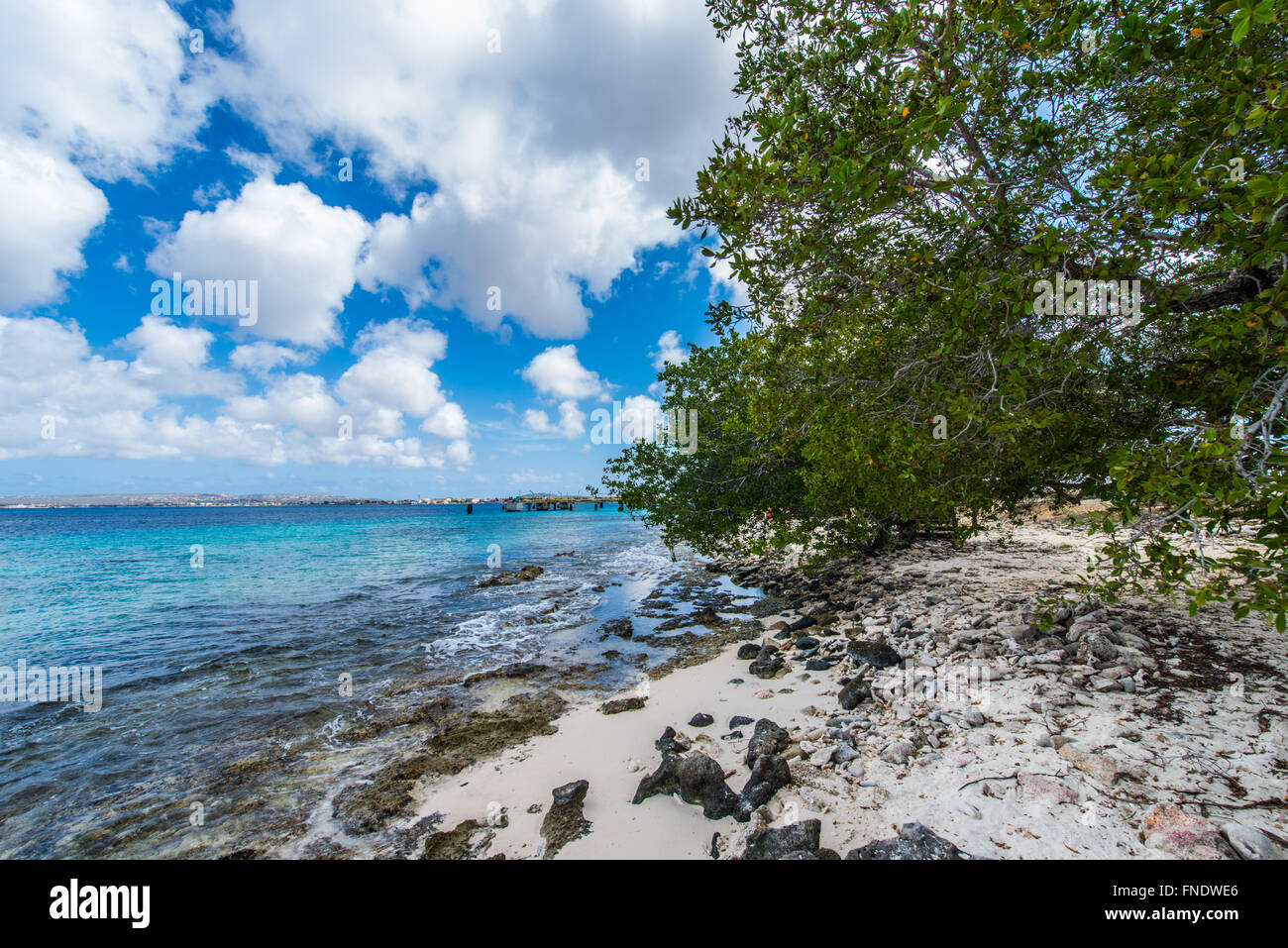 Beautiful view over the beaches and Caribbean sea of Bonaire National Marine Park one of the worlds most beautiful diving and snorkling locations Stock Photo
