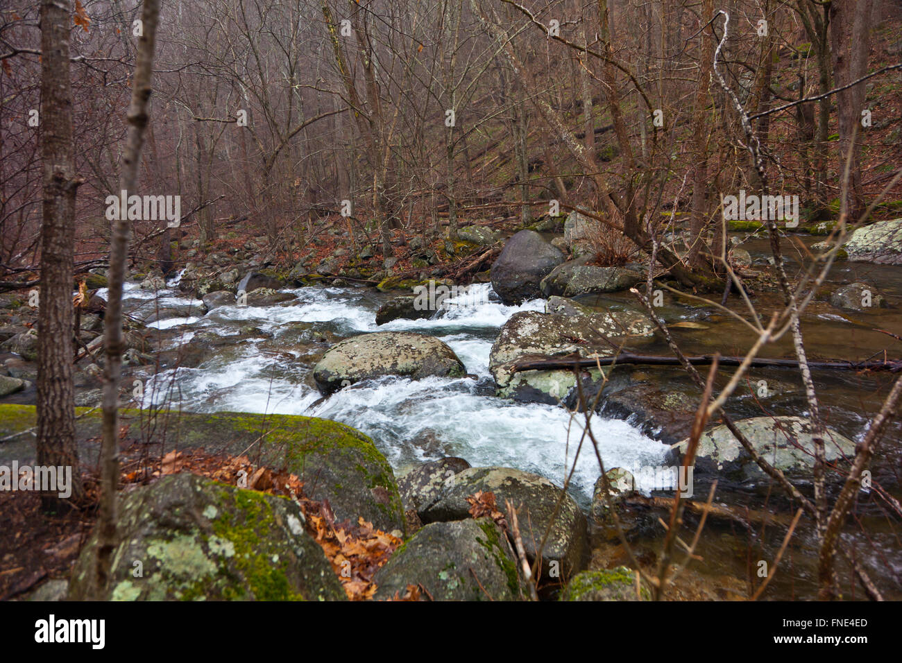Rapids of a river in the Blue Ridge mountains Stock Photo - Alamy