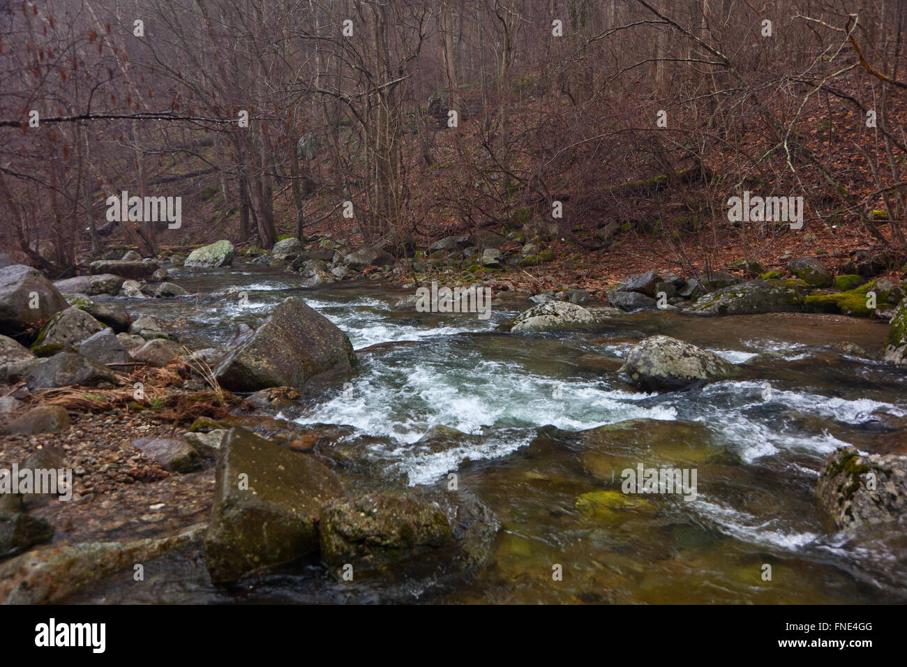 Rapids of a river in the Blue Ridge mountains Stock Photo - Alamy