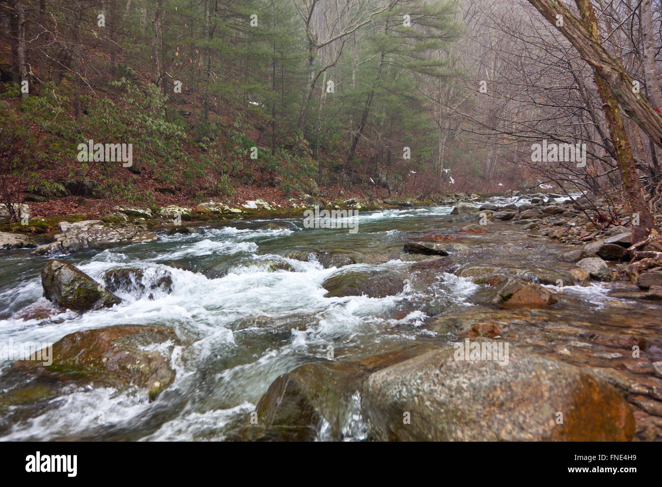 Rapids of a river in the Blue Ridge mountains Stock Photo - Alamy