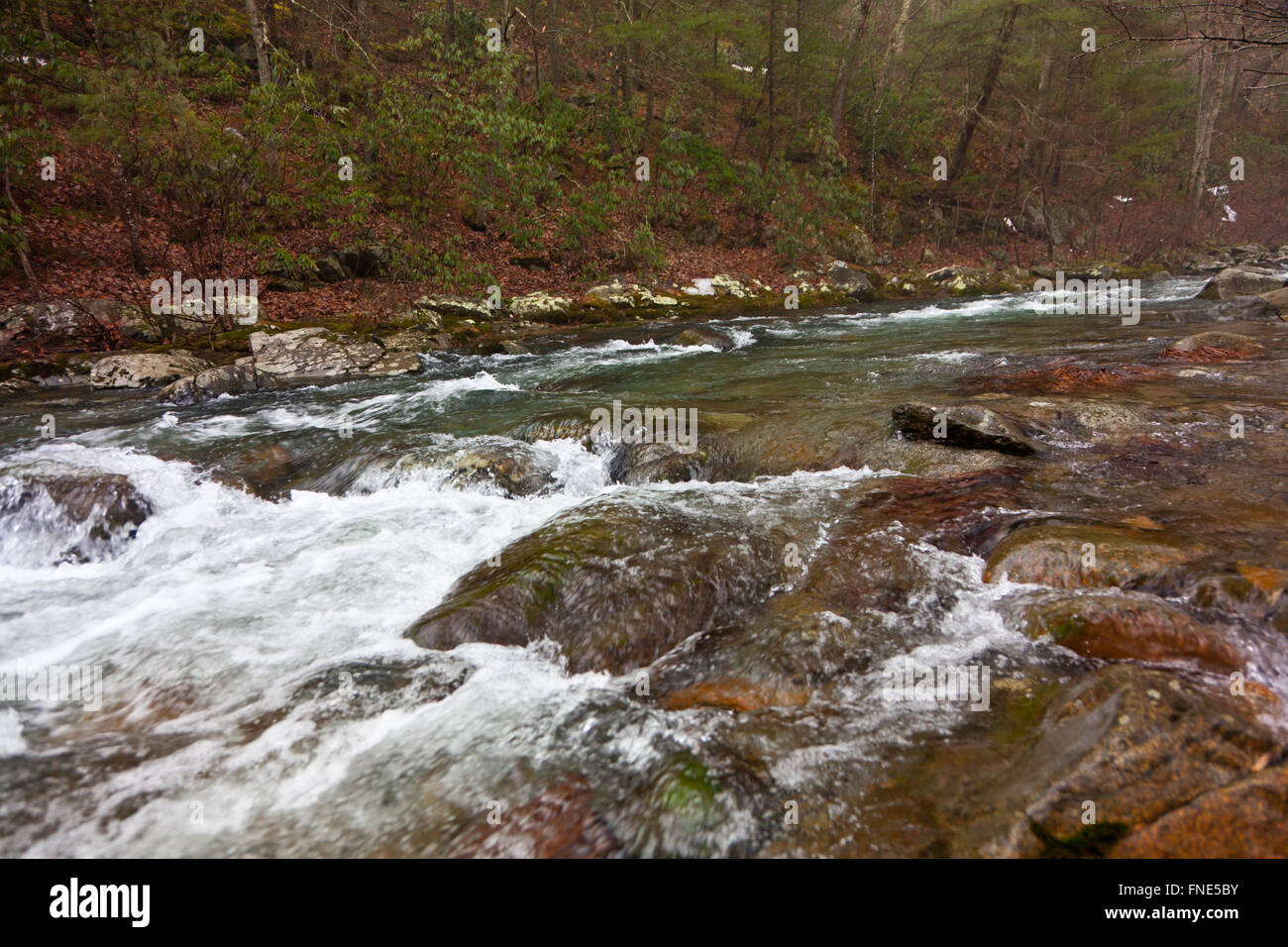 Rapids of a river in the Blue Ridge mountains Stock Photo - Alamy