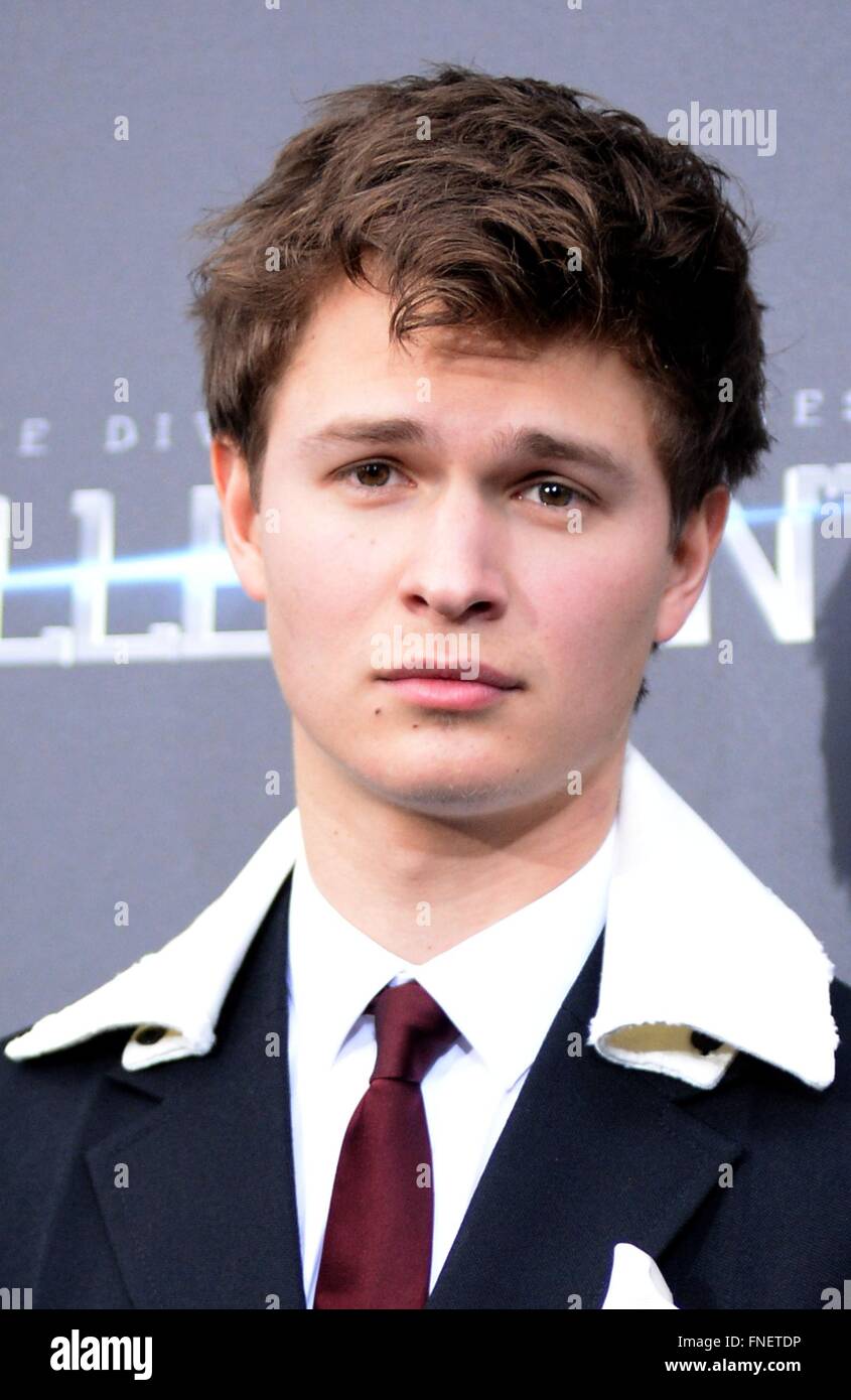 Ansel Elgort The Divergent Series High Resolution Stock Photography and