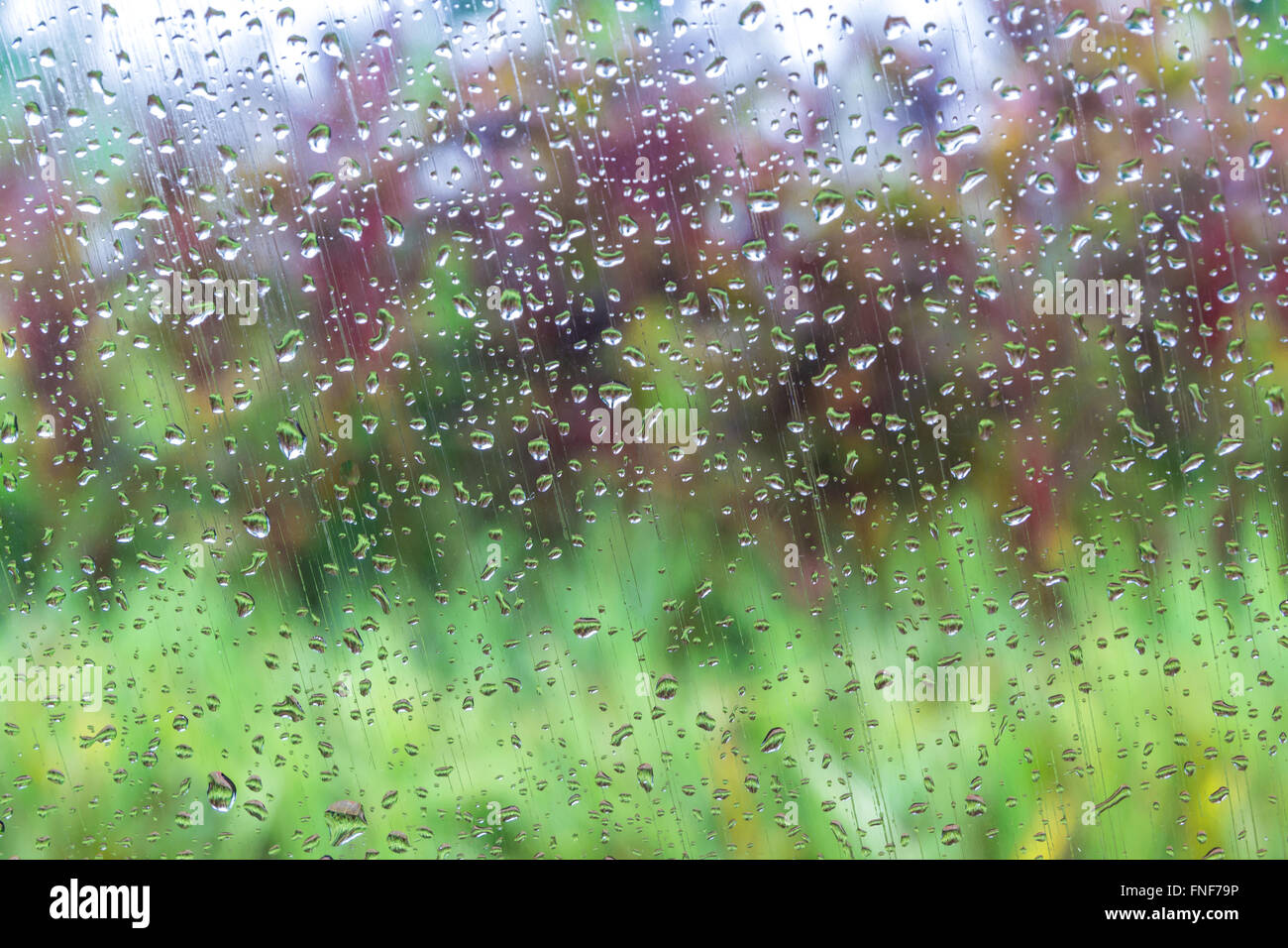 A photo of natural water drops on window glass with nature background ...