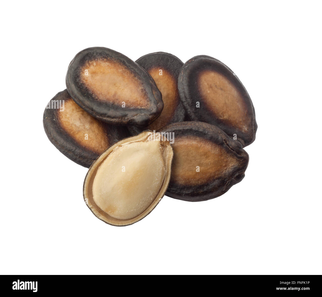 A pile of black melon seeds isolated on white background Stock Photo