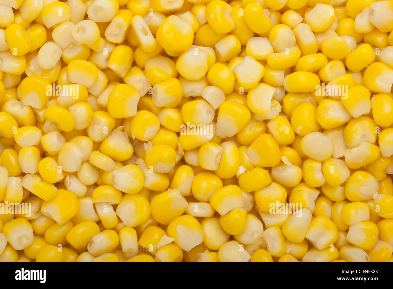 Corn kernel hires stock photography and images Alamy
